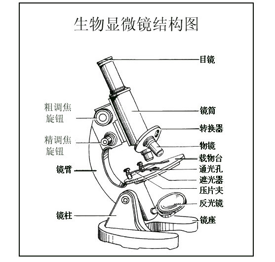 顯微鏡.jpg